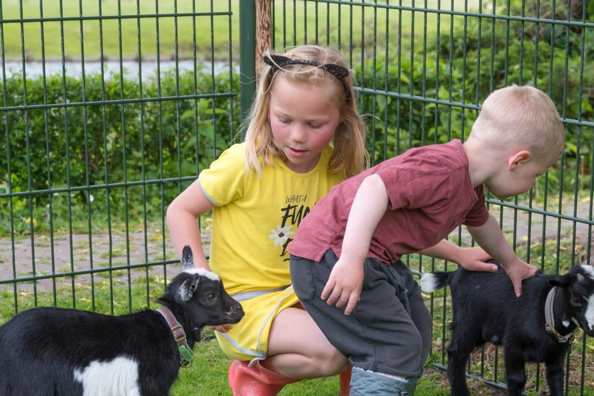 Kinderboerderij De Dierenhoeve