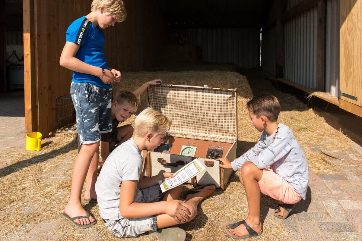 Alpacafarm Vorstenbosch - Alpaca boerderij