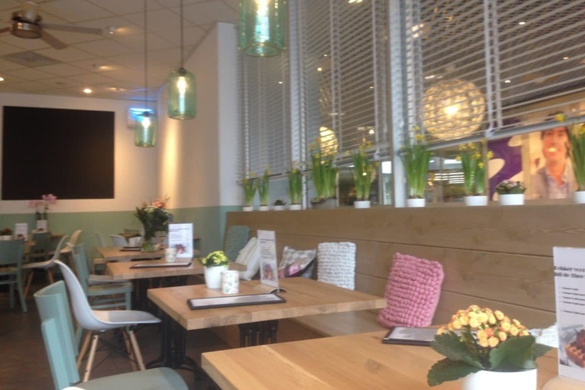 Wijs en Koffie