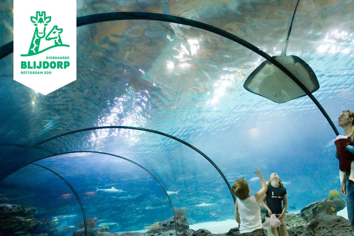 Blijdorp Zoo