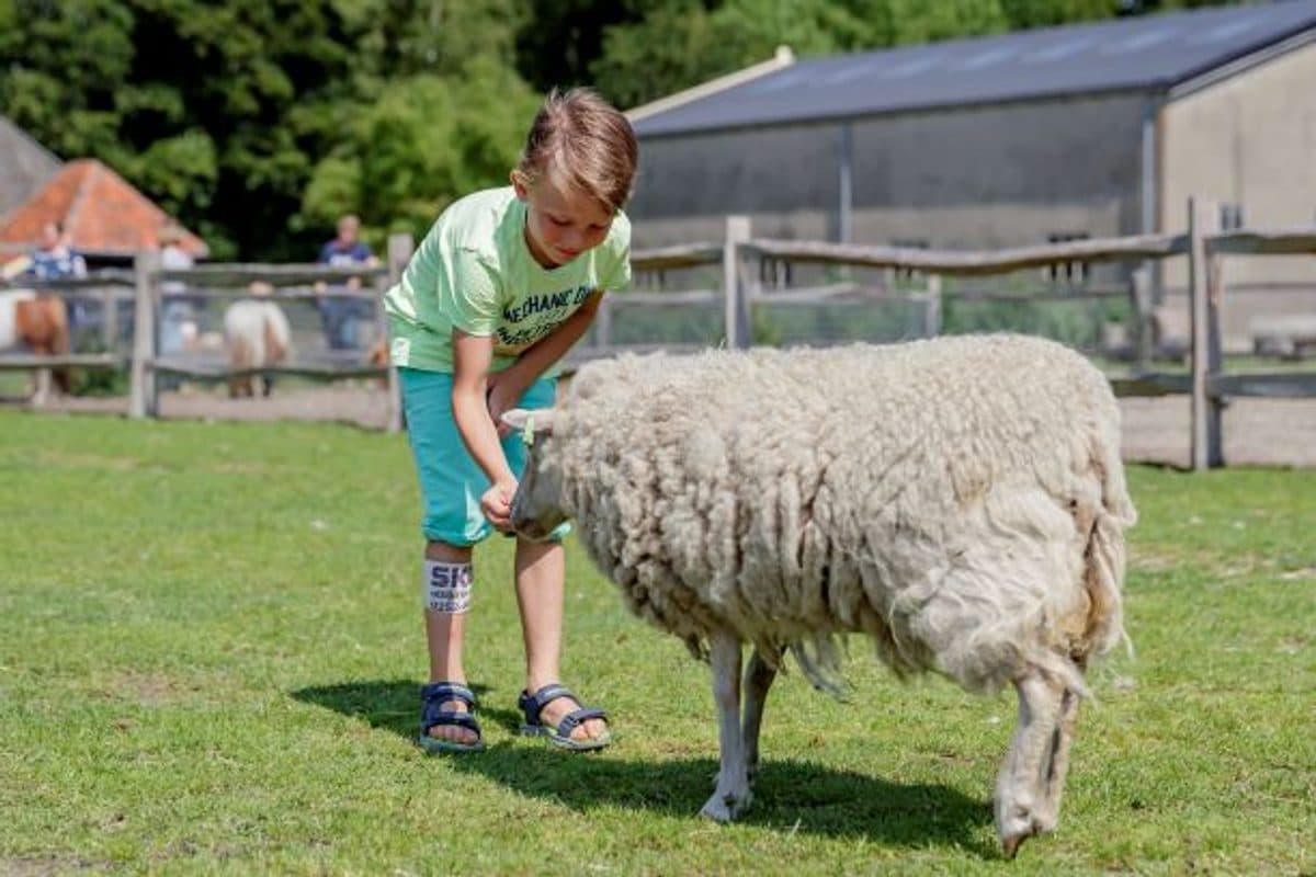 Kinderboerderij