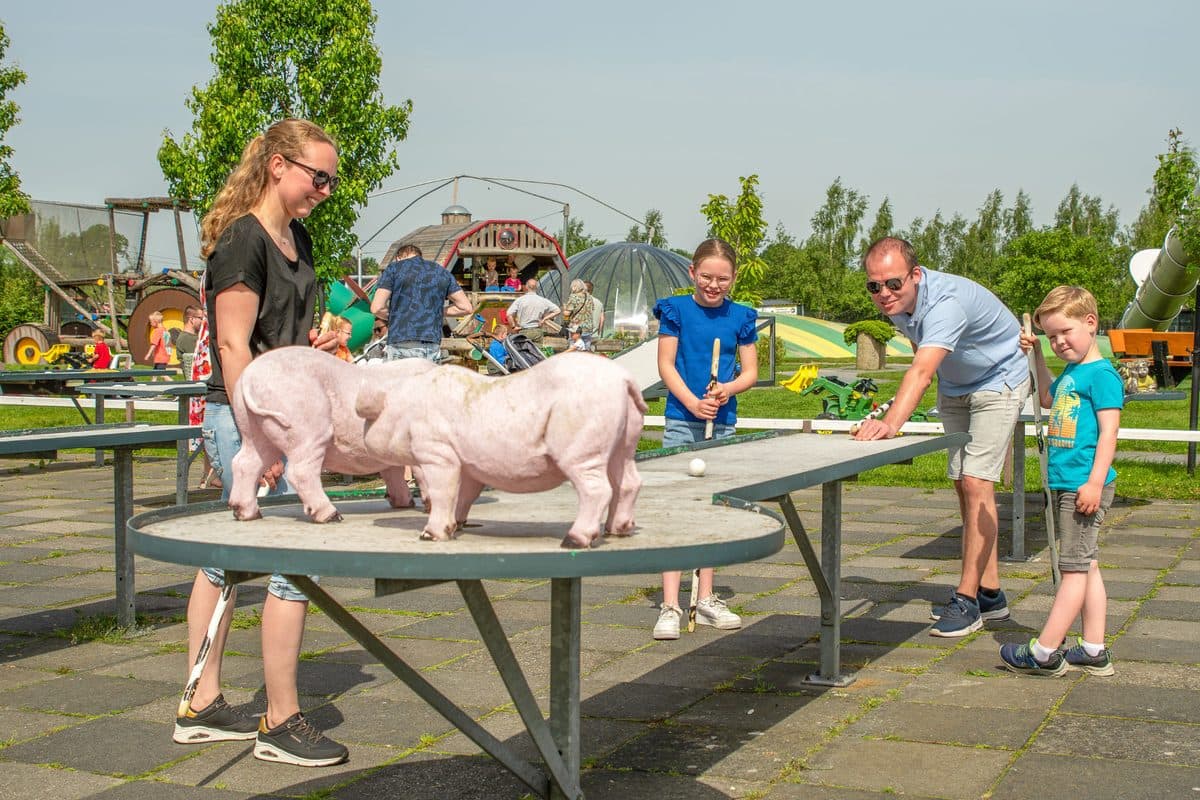 Speel- en IJsboerderij De Drentse Koe