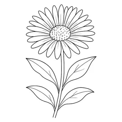 Aster Kleurplaat