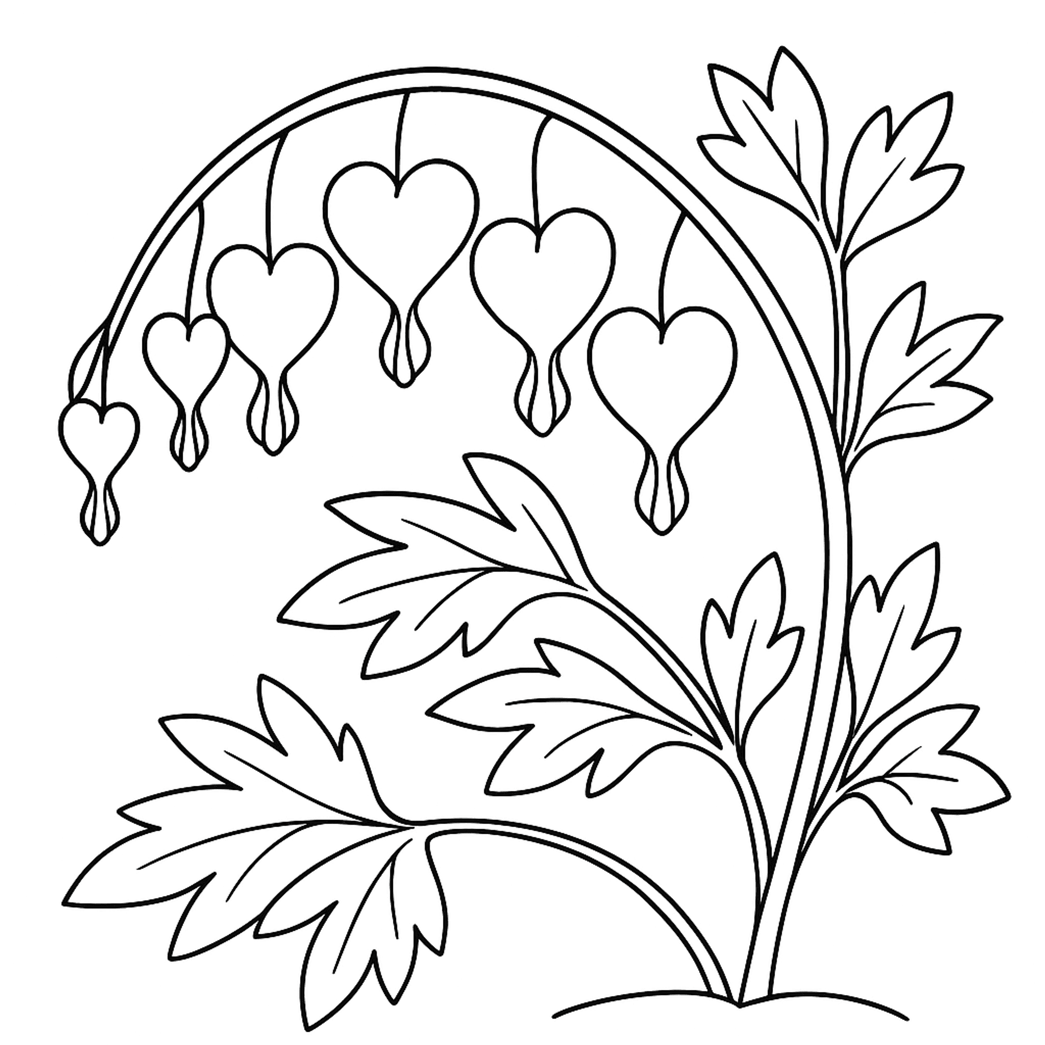 Bleeding Heart Kleurplaat