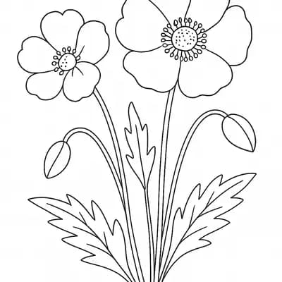 Blue Poppy Kleurplaat