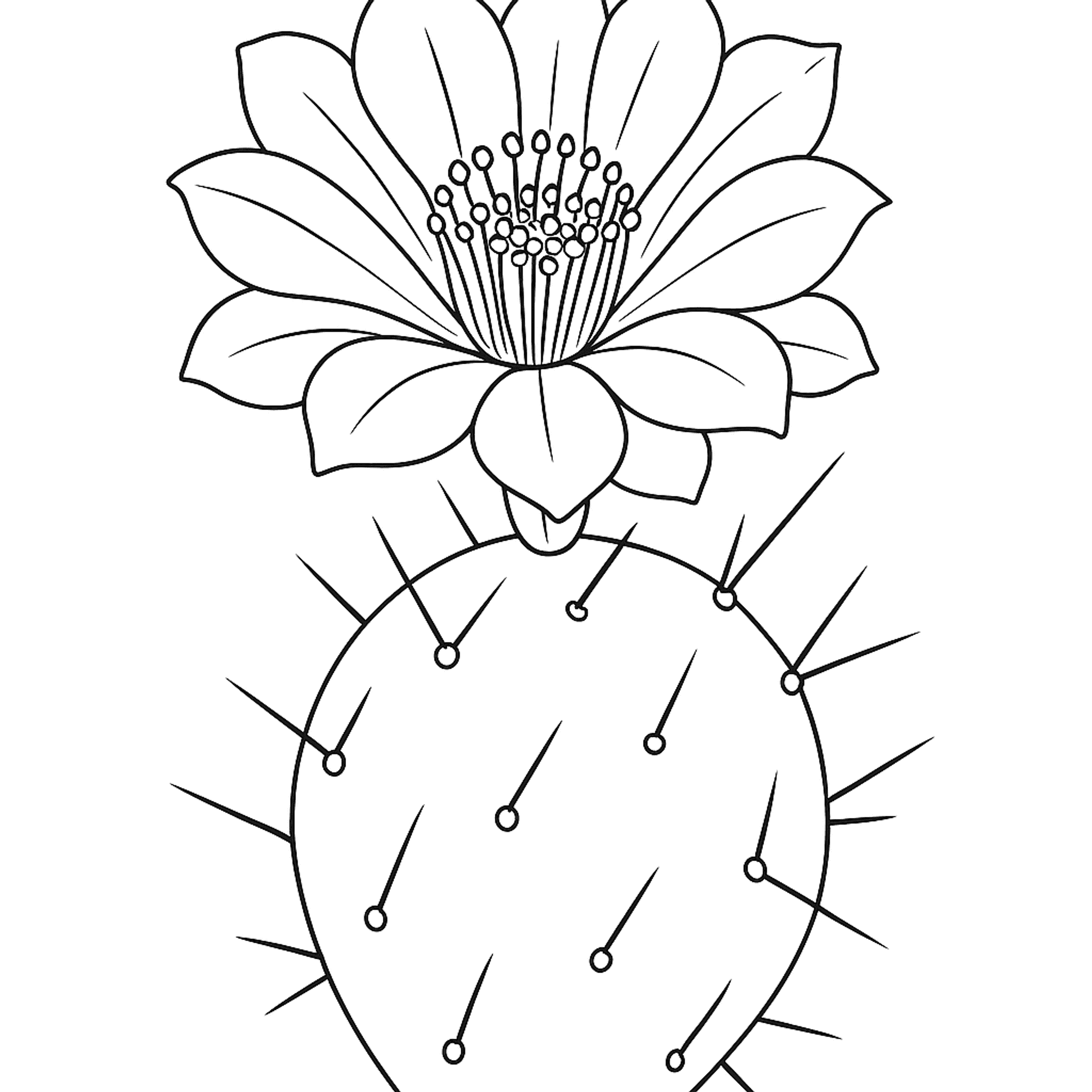 Cactusbloem Kleurplaat