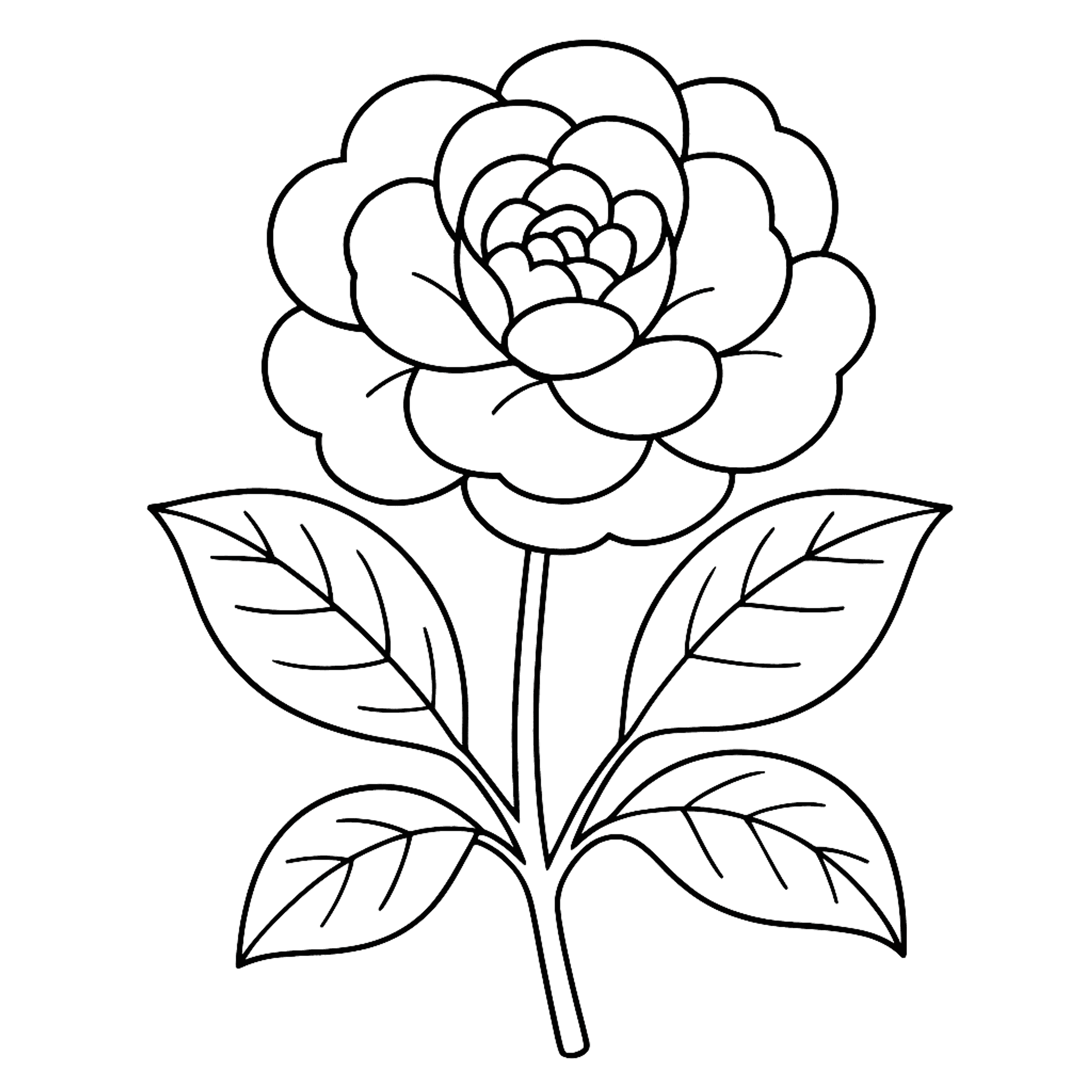 Camelia Kleurplaat