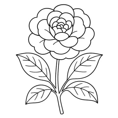 Camelia Kleurplaat