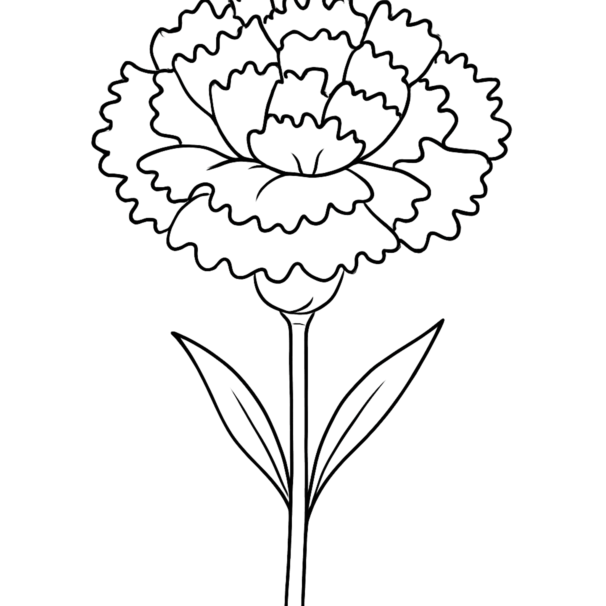 Anjer Kleurplaat