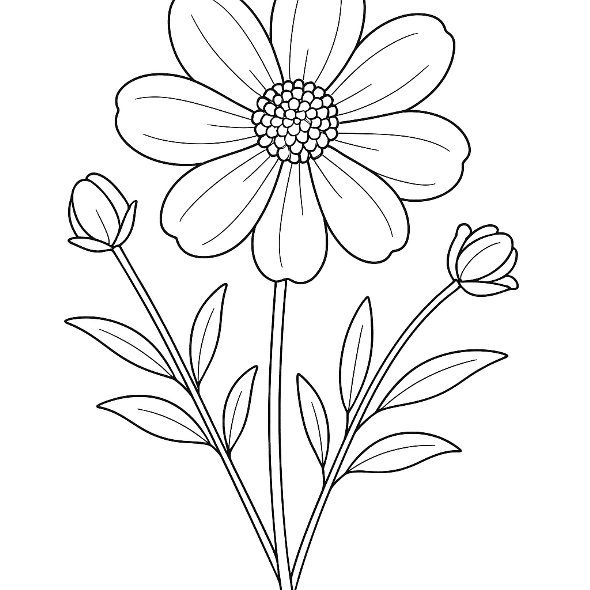 Chocolate Cosmos Kleurplaat