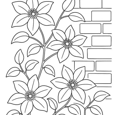 Clematis Kleurplaat