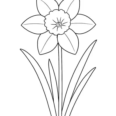 Narcis Kleurplaat
