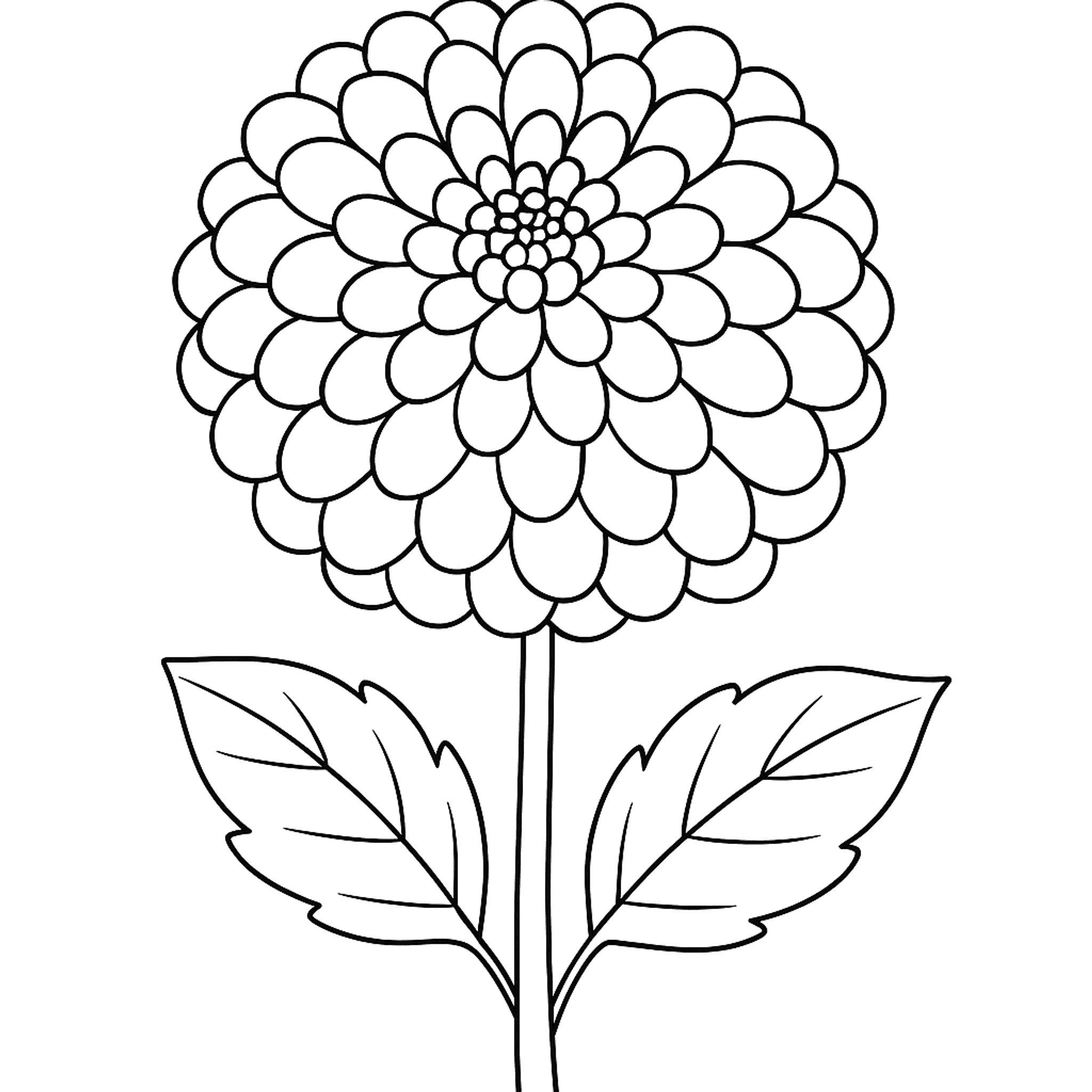 Dahlia Kleurplaat