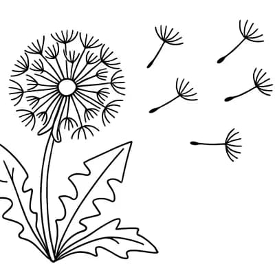 Paardenbloem Kleurplaat