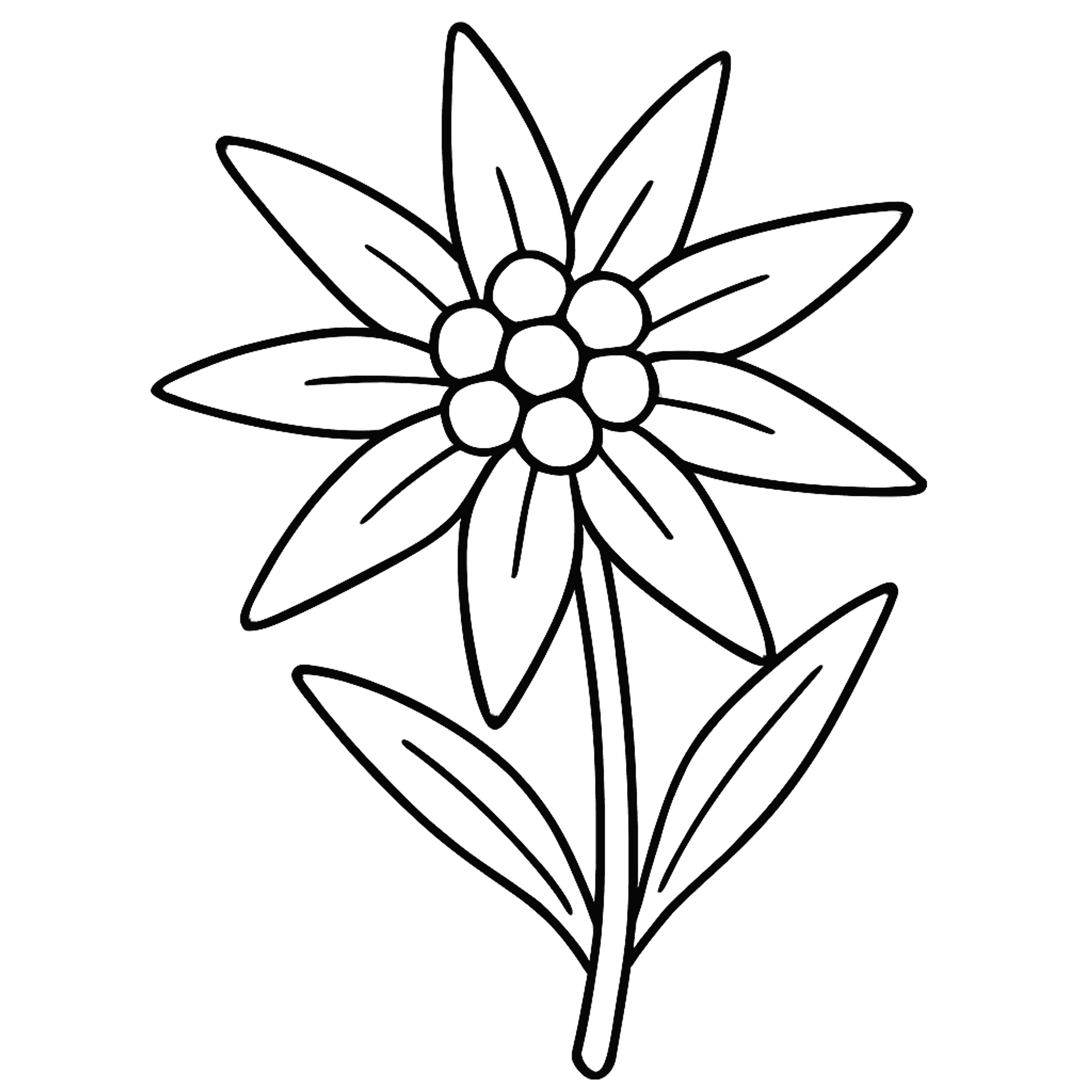 Edelweiss Mountain Kleurplaat