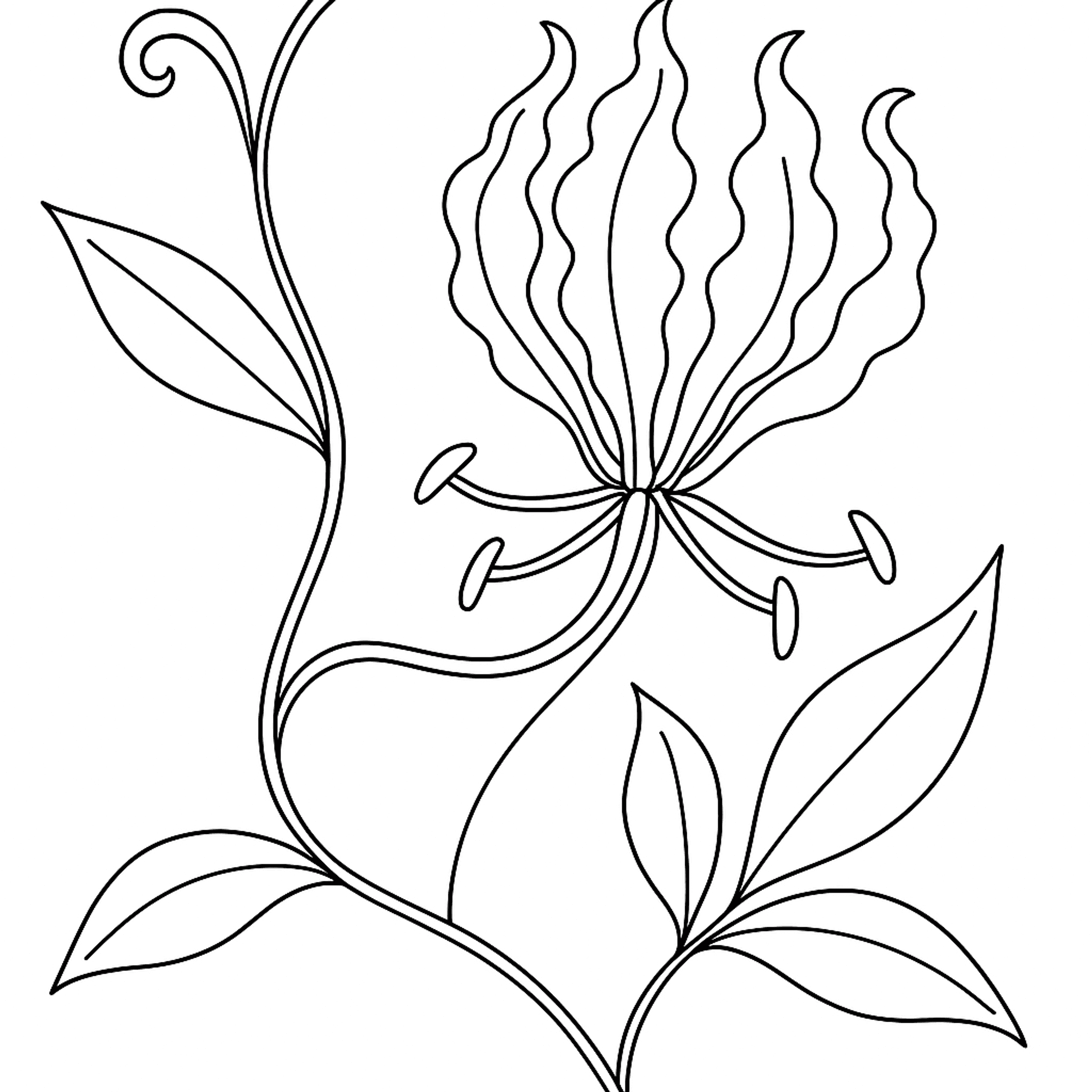 Flame Lily Kleurplaat