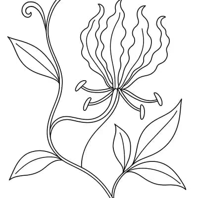 Flame Lily Kleurplaat