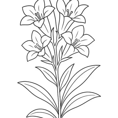 Gentian Blue Kleurplaat