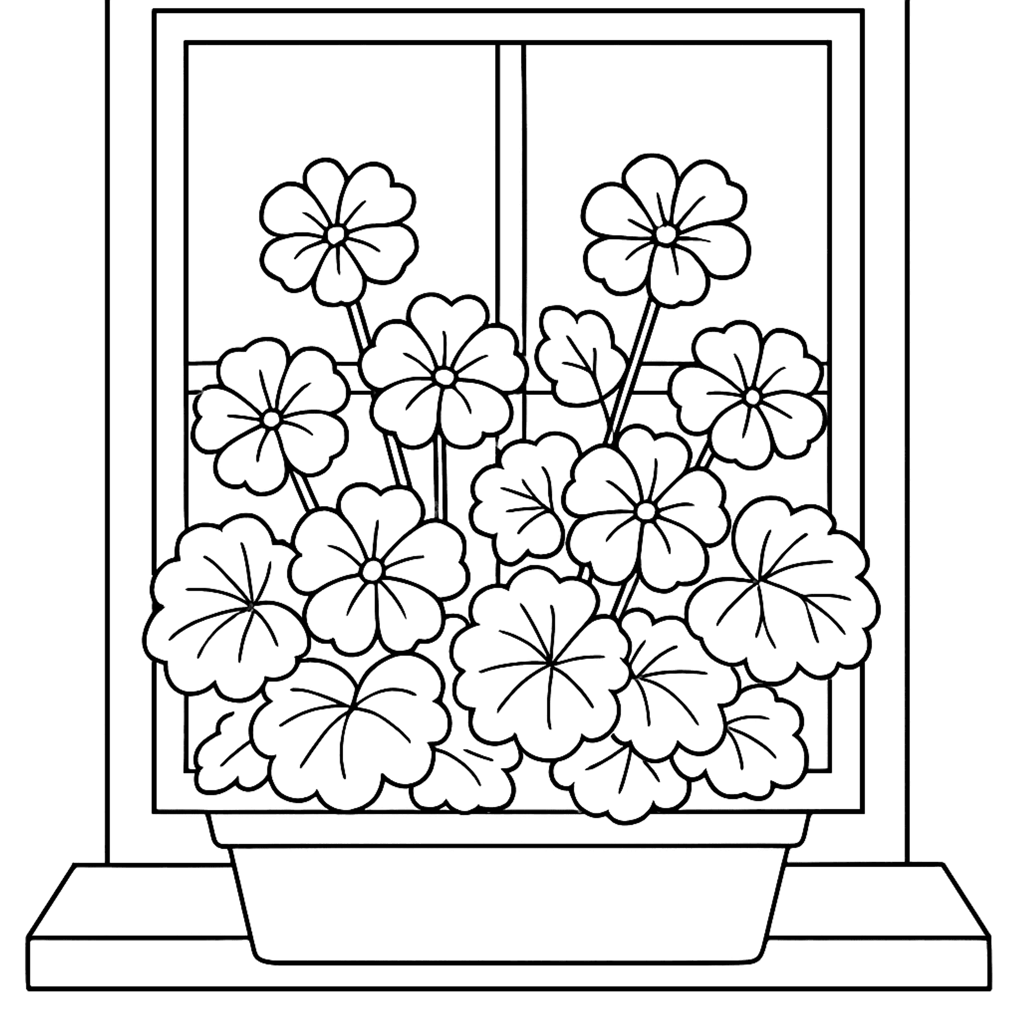 Geranium Kleurplaat