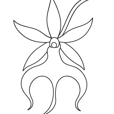 Ghost Orchid Kleurplaat