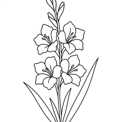 Gladiool Kleurplaat