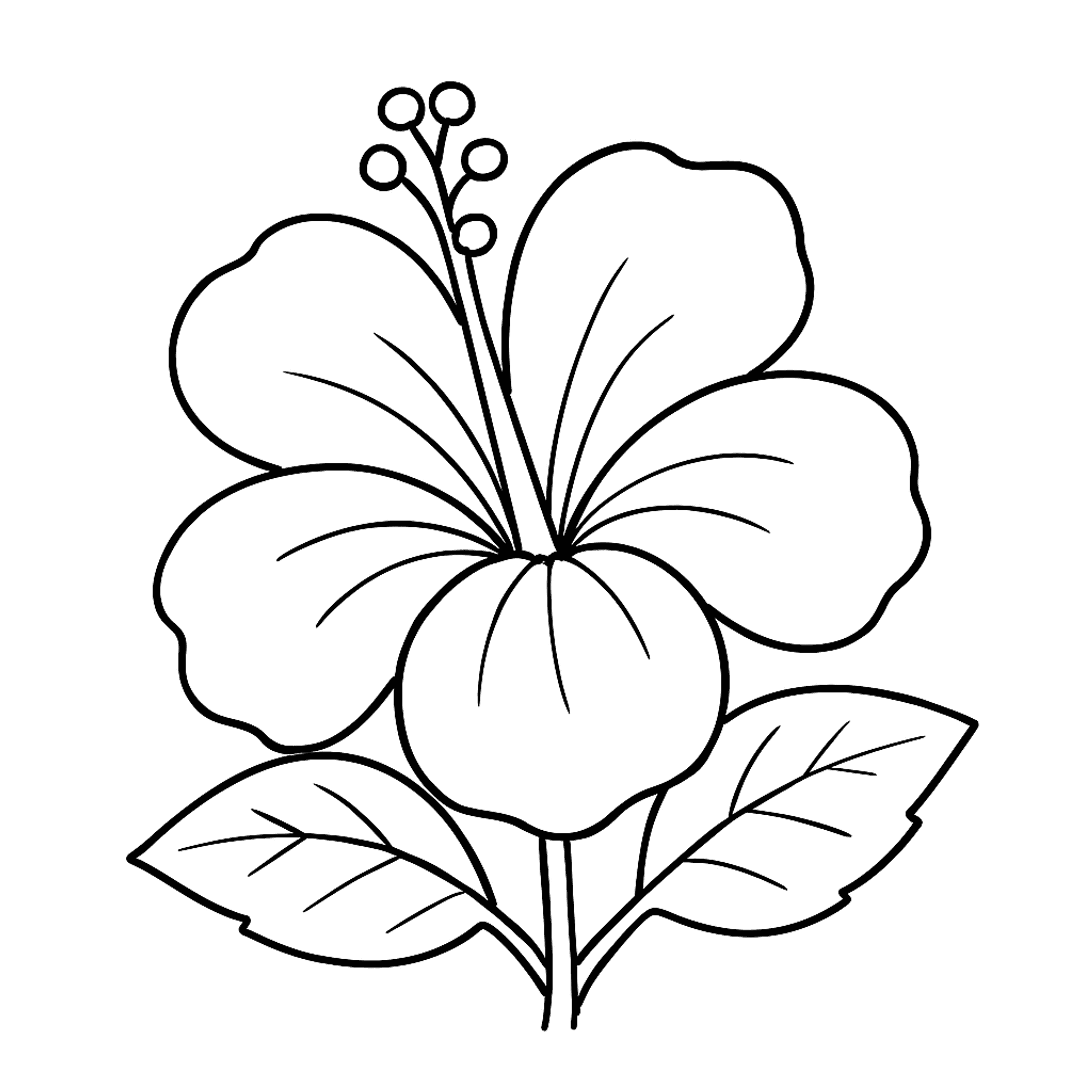Hibiscus Kleurplaat