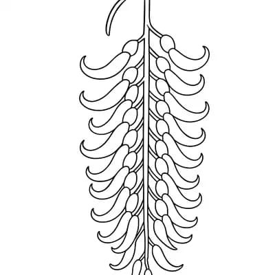 Jade Vine Kleurplaat