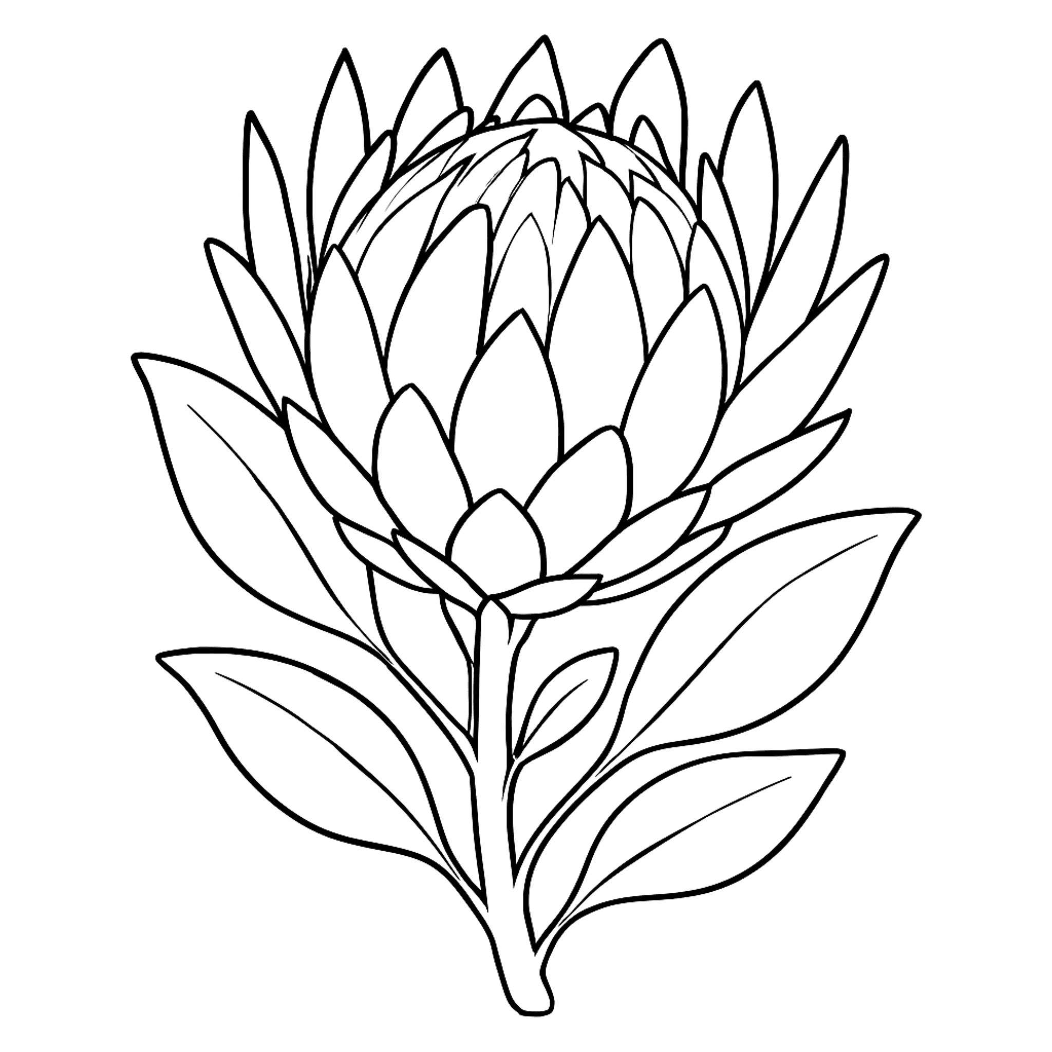 King Protea Kleurplaat