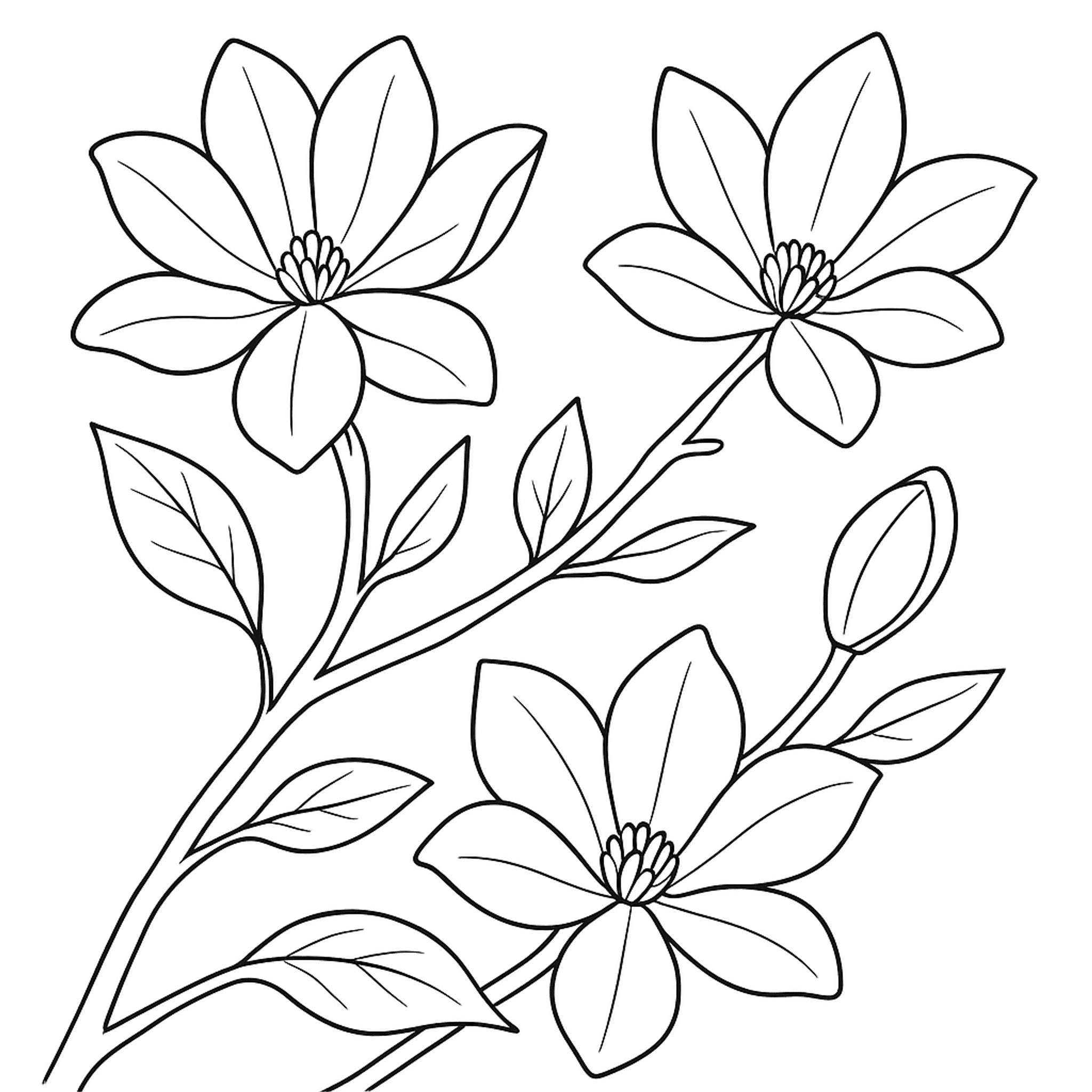 Magnolia Kleurplaat