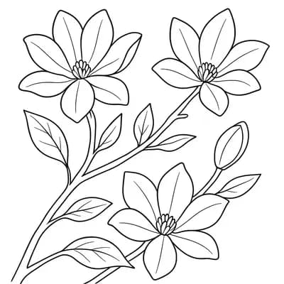 Magnolia Kleurplaat