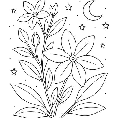 Night Jasmine Kleurplaat
