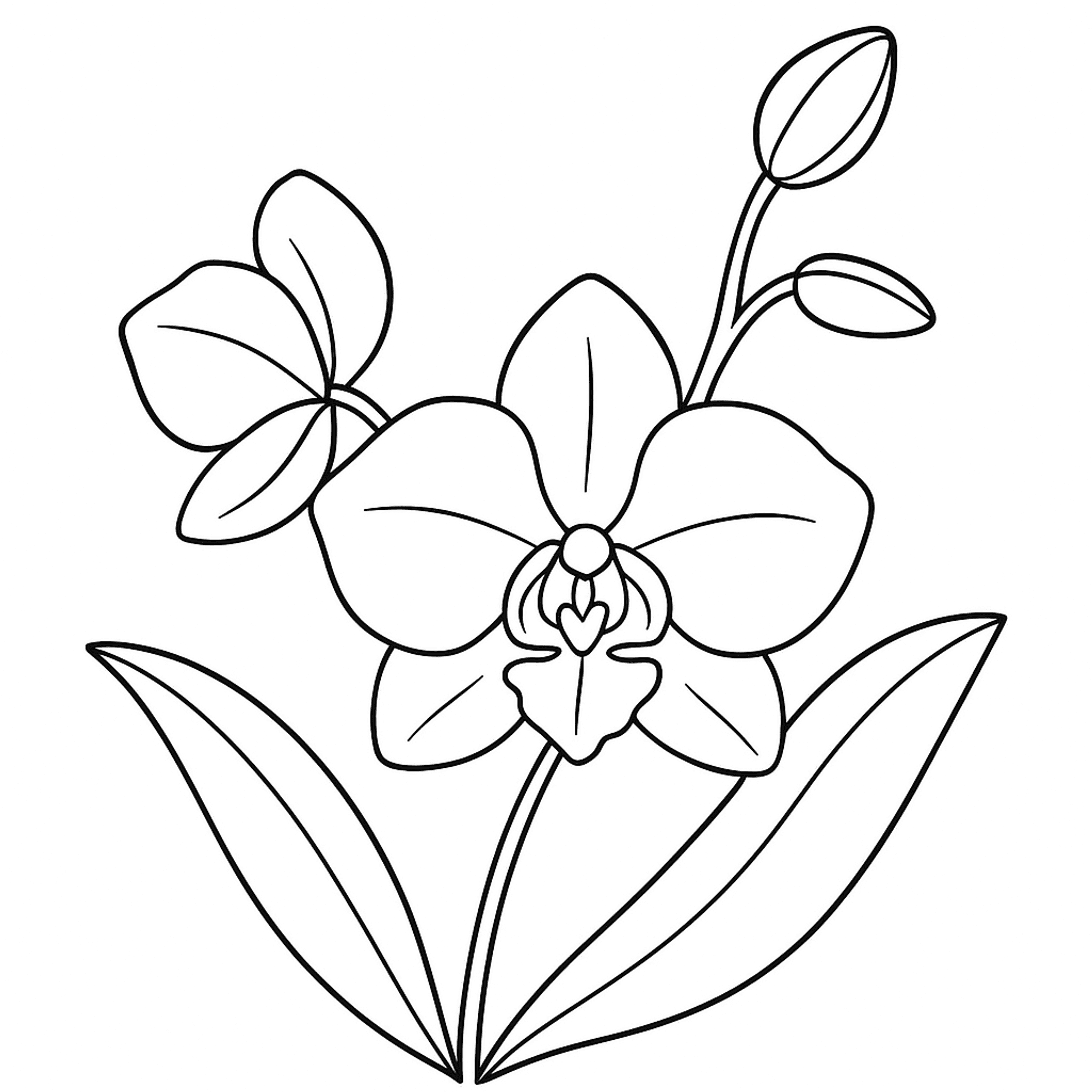 Orchidee Kleurplaat