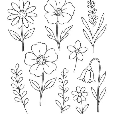 Gedroogde Bloemen Kleurplaat