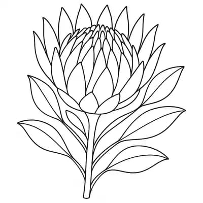 Protea Kleurplaat