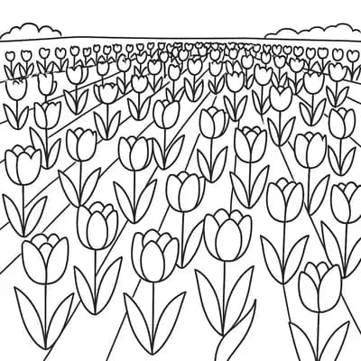 Tulpenveld Kleurplaat