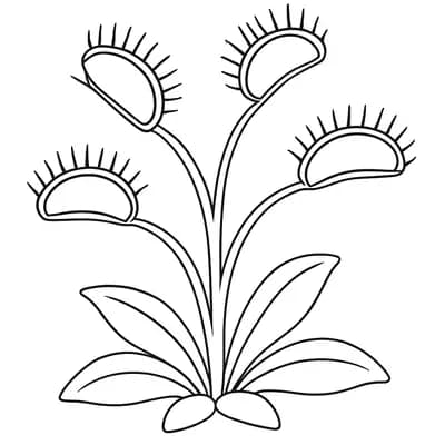 Vleesetende Plant Kleurplaat