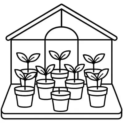Greenhouse Seedlings Growing Kleurplaat