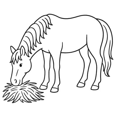 Paard Eet Hooi Kleurplaat