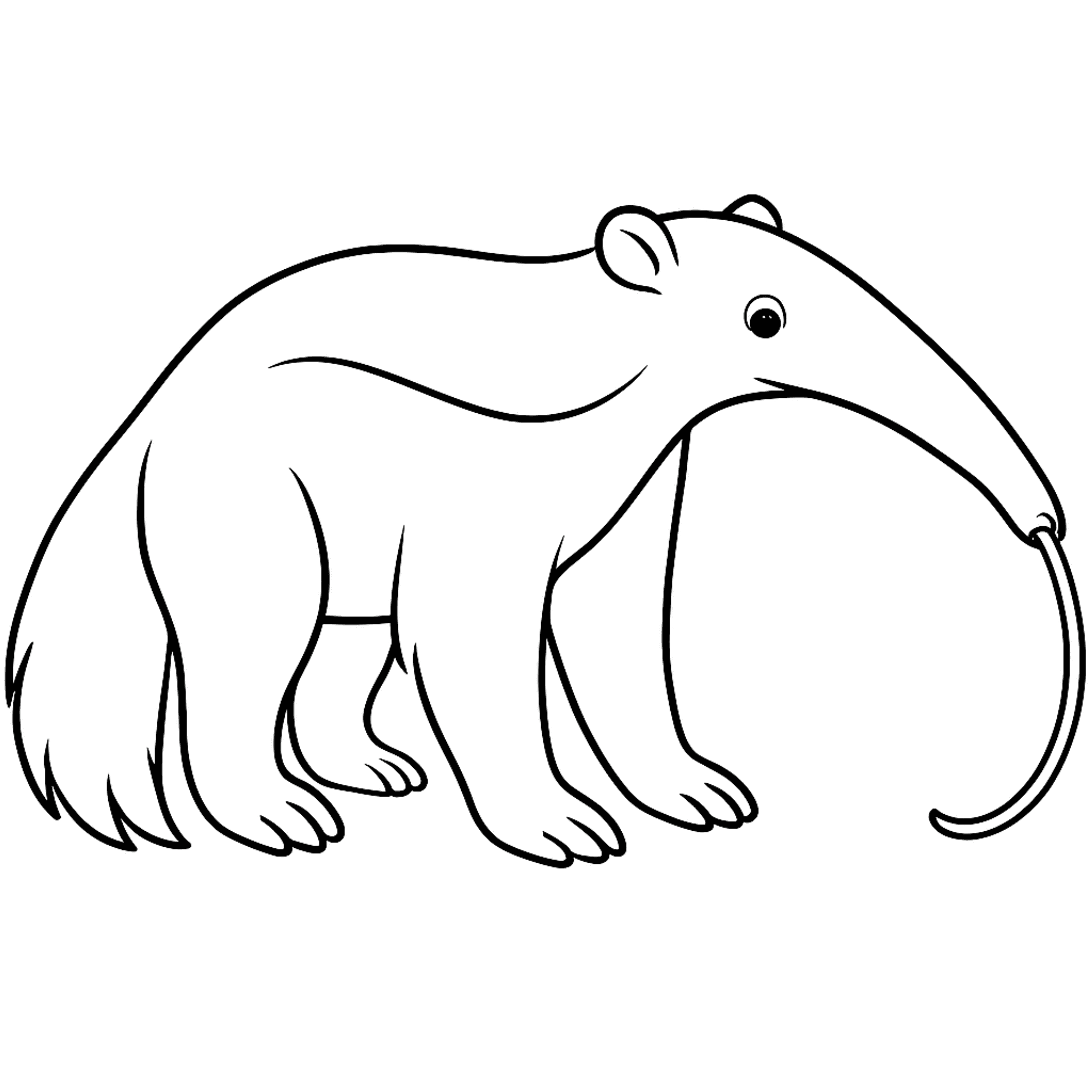 Miereneter Kleurplaat