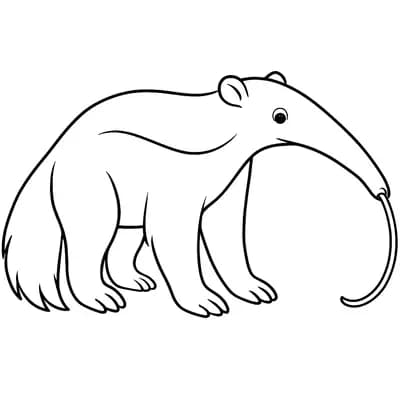 Miereneter Kleurplaat