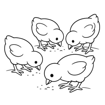 Pikkende Kuikens Kleurplaat