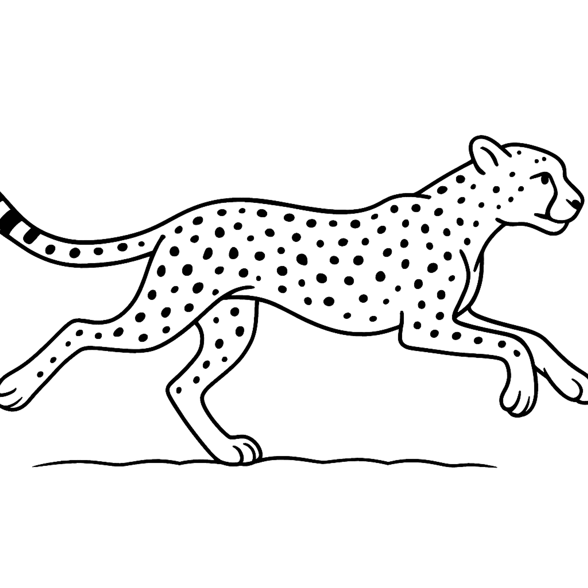 Cheeta Kleurplaat