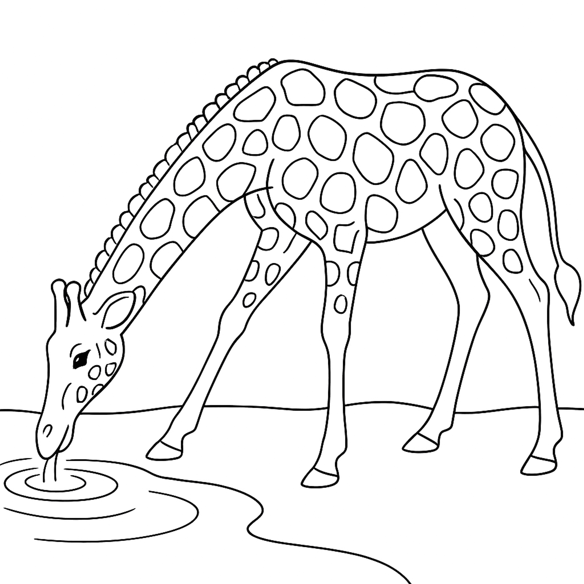 Drinkende Giraffe Kleurplaat