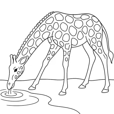 Drinkende Giraffe Kleurplaat