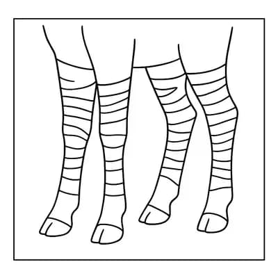 Okapi Kleurplaat