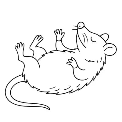 Opossum Kleurplaat