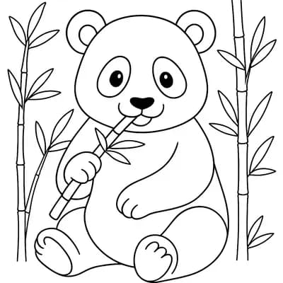Panda Kleurplaat