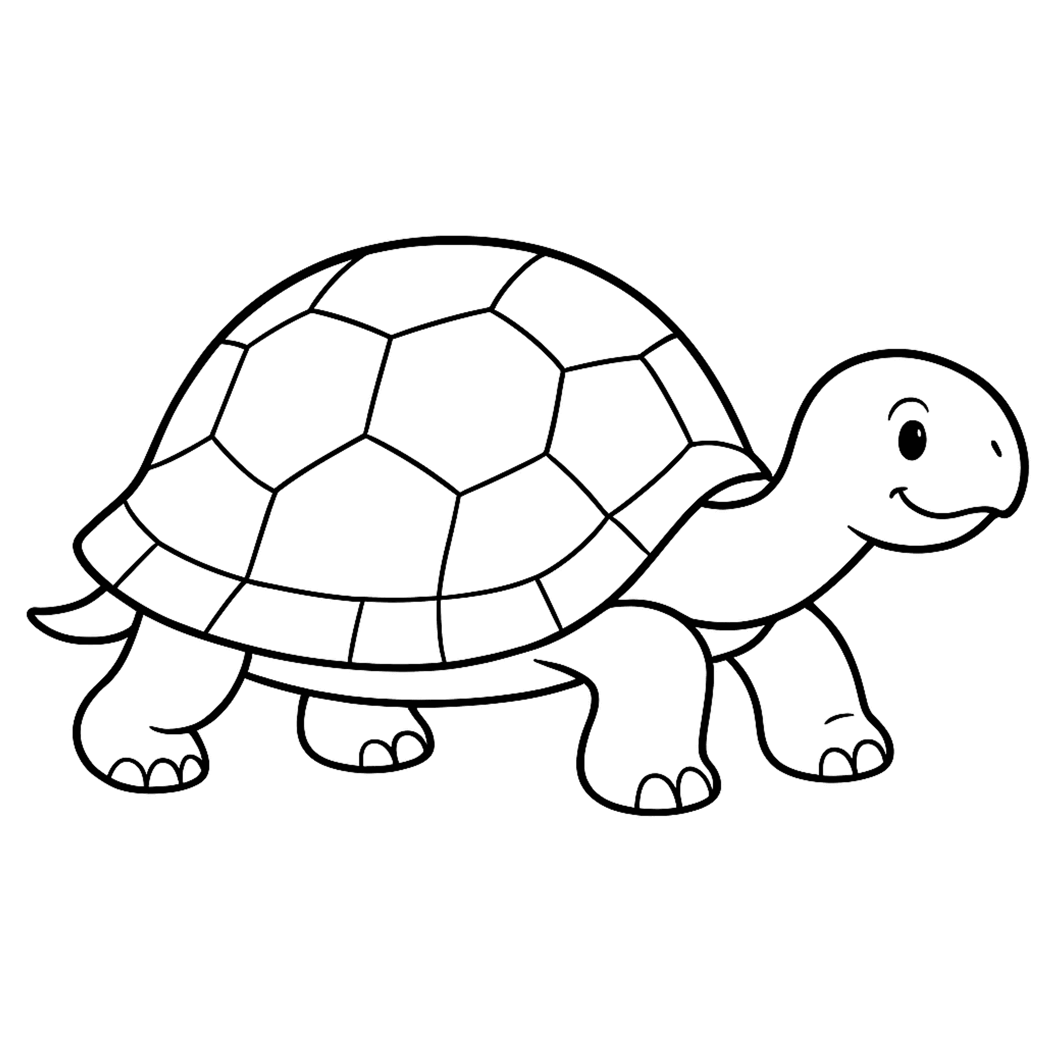 Schildpad Kleurplaat