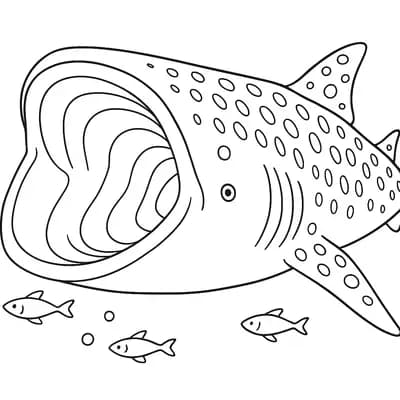 Whale Shark Mouth Kleurplaat