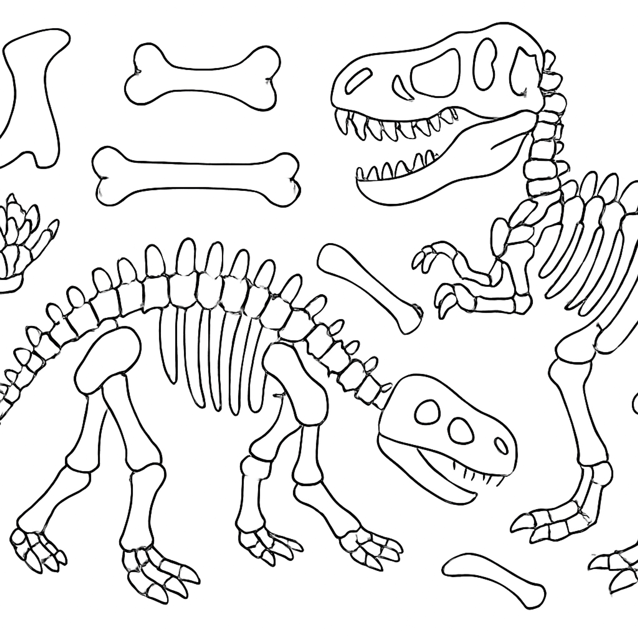 Dino Skelet Kleurplaat